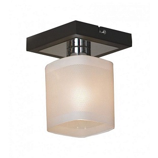 Светильник потолочный LUSSOLE Costanzo LSL-9007-01